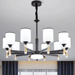 Modern decorative light  03